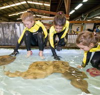 Australian Shark and Ray Centre - Restaurant Gold Coast
