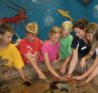 Naturaliste Marine Discovery Centre - Restaurant Gold Coast