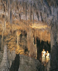 Mammoth Cave - Restaurant Gold Coast 0