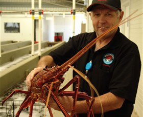 Lobster Shack - Restaurant Gold Coast 0