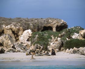 Jurien Bay Marine Park - Restaurant Gold Coast 0