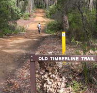 Old Timberline and Sidings Rail Trails - Restaurant Gold Coast