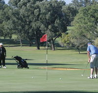 Spalding Park - Restaurant Gold Coast