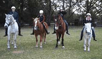 Valhalla Horse Riding - Restaurant Gold Coast 1