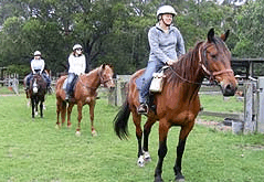 Valhalla Horse Riding - Restaurant Gold Coast 2