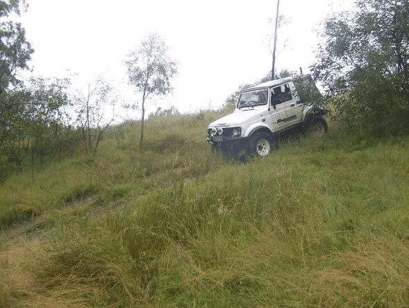 Scenic Rim Adventure Park - Restaurant Gold Coast 1