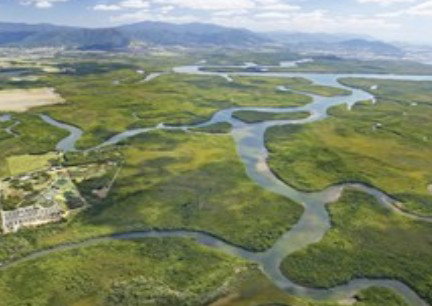 Cairns Harbour Cruises - Restaurant Gold Coast 2