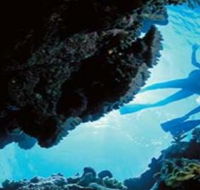 Deep Sea Divers Den - Restaurant Gold Coast