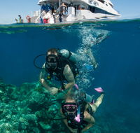 Down Under Cruise and Dive - Restaurant Gold Coast