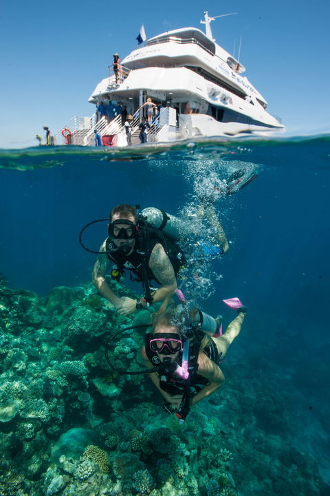 Down Under Cruise And Dive - Restaurant Gold Coast 0