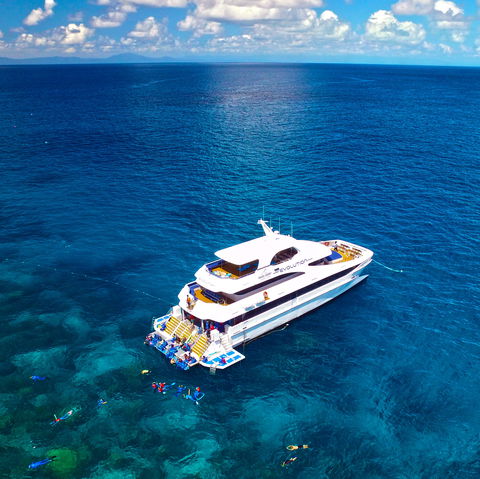 Down Under Cruise And Dive - Restaurant Gold Coast 1