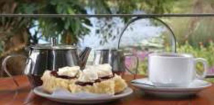 Food Trails Tours - Restaurant Gold Coast 2