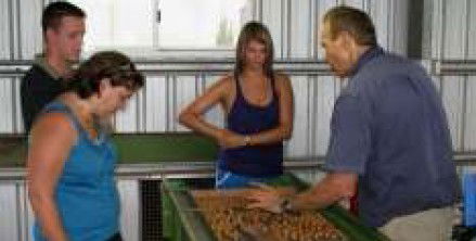 Food Trails Tours - Restaurant Gold Coast 3