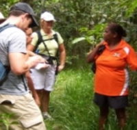 Ingan Tours - Spirit of the Rainforest Tour - Restaurant Gold Coast