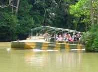 Rainforestation Nature Park - Restaurant Gold Coast 4