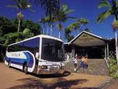 Rainforestation Nature Park - Restaurant Gold Coast 5