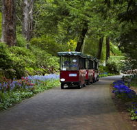 Araluen Botanic Park - Restaurant Gold Coast