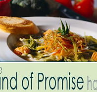Land of Promise Hotel - Restaurant Gold Coast
