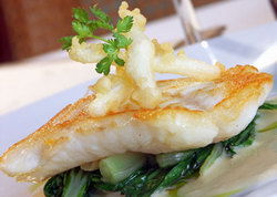 Bell's Hotel & Brewery - Restaurant Gold Coast 1