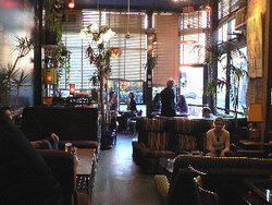 Blackcat - Restaurant Gold Coast 1