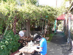 Blackcat - Restaurant Gold Coast 3
