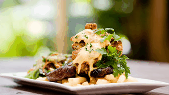Hinterland Hotel - Restaurant Gold Coast 4