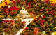 Jatra Nepalese Restaurant - thumb 3