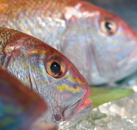 Coro Hotel - Lure Seafood Restaurant - Restaurant Gold Coast
