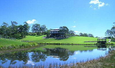 Oceanview Estate Winery / Restaurant - Restaurant Gold Coast 3