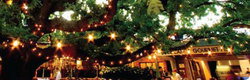 Neutral Bay NSW Restaurant Gold Coast