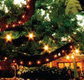 The Oaks - Restaurant Gold Coast