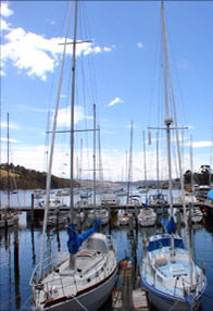 Sandford TAS Restaurant Gold Coast
