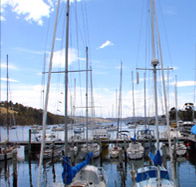 Oyster Cove Inn - Restaurant Gold Coast