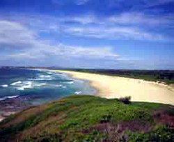 Iluka Tavern - Restaurant Gold Coast 1