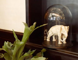 Greenwich Hotel - Restaurant Gold Coast 2