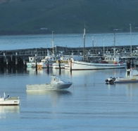 The Apollo Bay Hotel - Restaurant Gold Coast