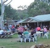 Bush Shack Brewery - Restaurant Gold Coast