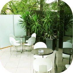 Hampton Park Tavern - Restaurant Gold Coast 2