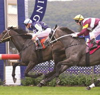 Gosford Race Club - Restaurant Gold Coast