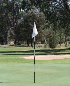 Inverell Golf Club - Restaurant Gold Coast 1
