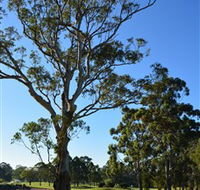 Ryde-Parramatta Golf Club - Restaurant Gold Coast