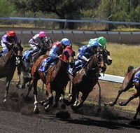 Alice Springs Turf Club - Restaurant Gold Coast