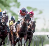 Colac Turf Club - Restaurant Gold Coast