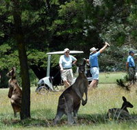 Glen Innes Golf Club - Restaurant Gold Coast