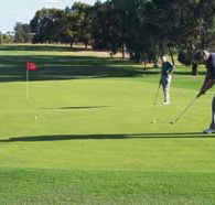 Waikerie Golf Club - Restaurant Gold Coast