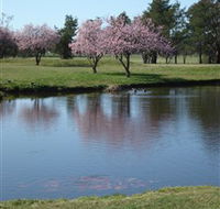 RMC Golf Club - Restaurant Gold Coast