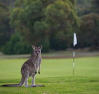Anglesea Golf Club - Restaurant Gold Coast