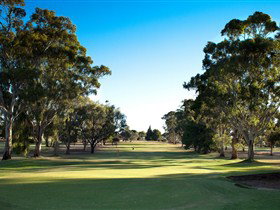 Loxton Golf Club - Restaurant Gold Coast 0