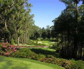 Mollymook Golf Club - Restaurant Gold Coast 2