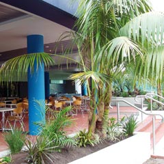 Forster NSW Restaurant Gold Coast